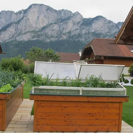Widlroither Mondsee